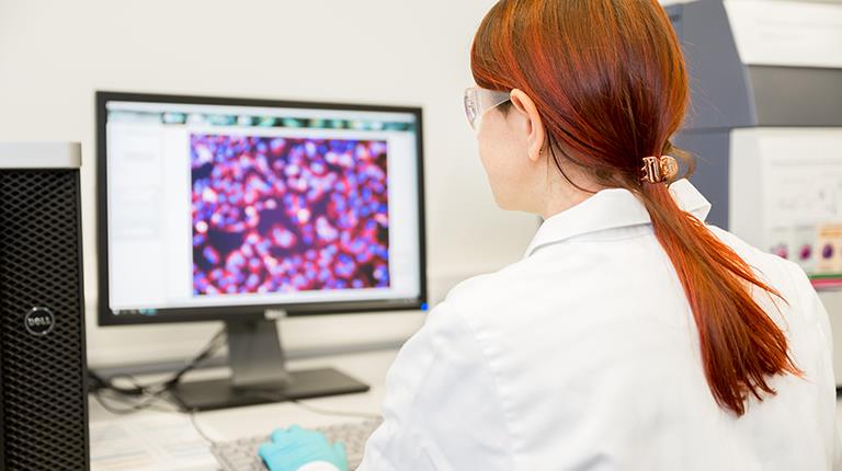 Christine story banner