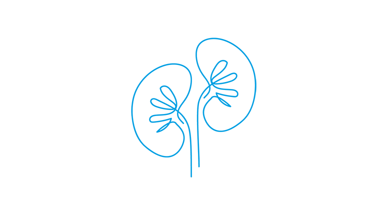 Nephrology